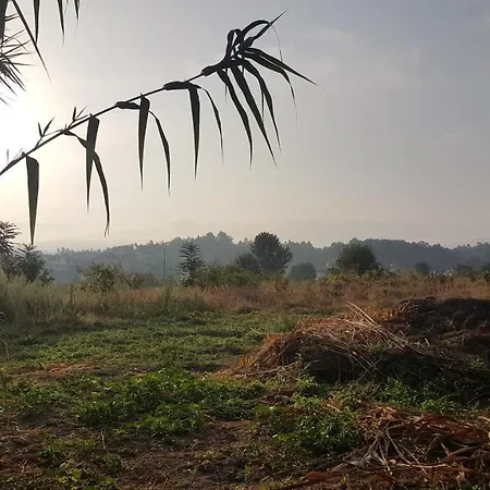 Quinta Do Rio Alva And Glamping Feriehus Mouronho