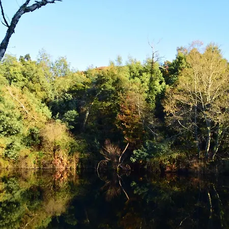 Quinta Do Rio Alva And Glamping