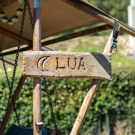 Quinta Do Rio Alva And Glamping 度假居 *