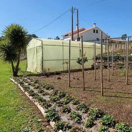 Quinta Do Rio Alva And Glamping Feriehus