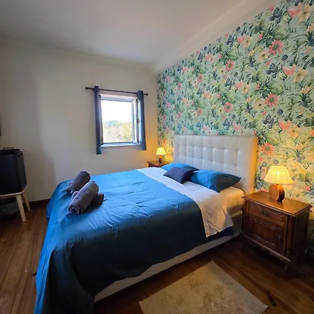 Prázdninový dům Quinta Do Rio Alva And Glamping Mouronho