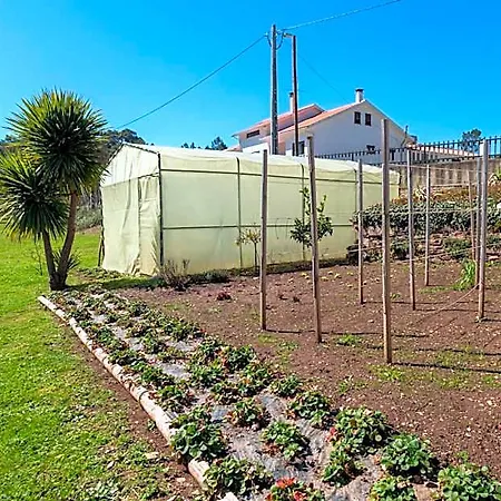 Quinta Do Rio Alva And Glamping Σπίτι διακοπών Mouronho