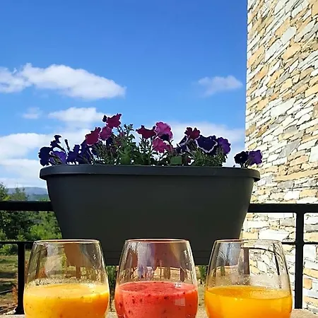 Quinta Do Rio Alva And Glamping *