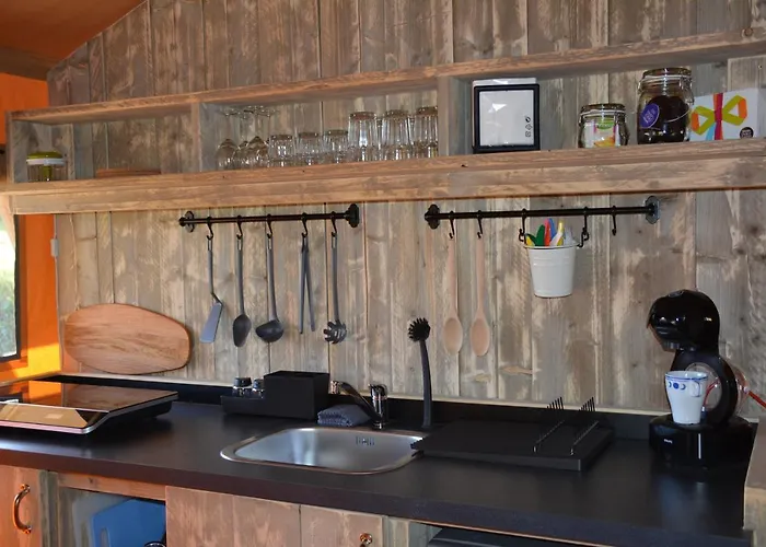 Quinta Do Rio Alva And Glamping Hébergement de vacances *