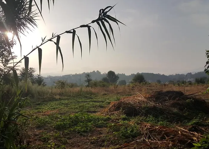 Quinta Do Rio Alva And Glamping Hébergement de vacances Mouronho