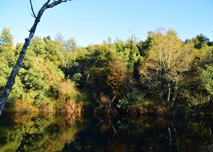 Quinta Do Rio Alva And Glamping