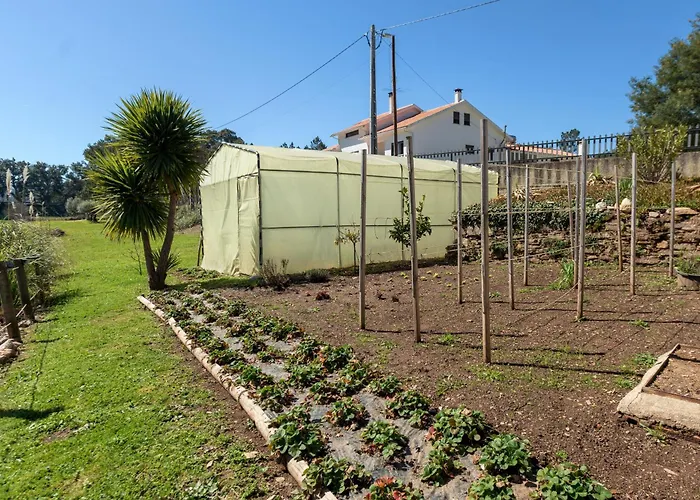 Quinta Do Rio Alva And Glamping Hébergement de vacances